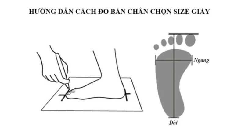 Hướng dẫn cách đo bàn chân chọn size 
